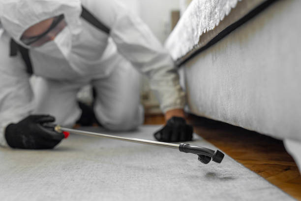 Professional Bed Bug Control technician working in Agua Dulce, CA