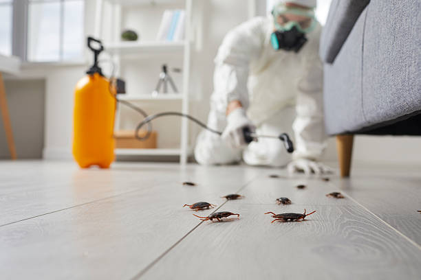 Trusted Emergency Pest Control service in Agua Dulce, CA - Nex Pest Control